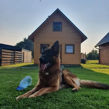 Lodge Nad Jeziorem *