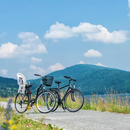 Nad Jeziorem Zarzecze (Silesia)