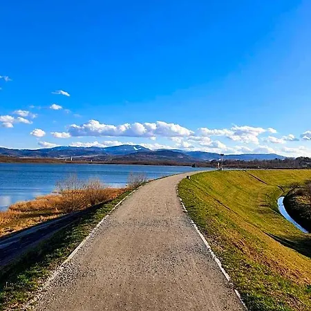 Orman Evi Nad Jeziorem *