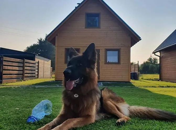 Chata Nad Jeziorem *